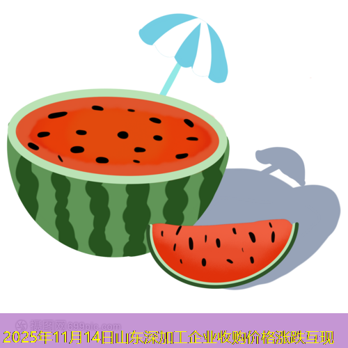 2025年11月14日山东深加工企业收购价格涨跌互现