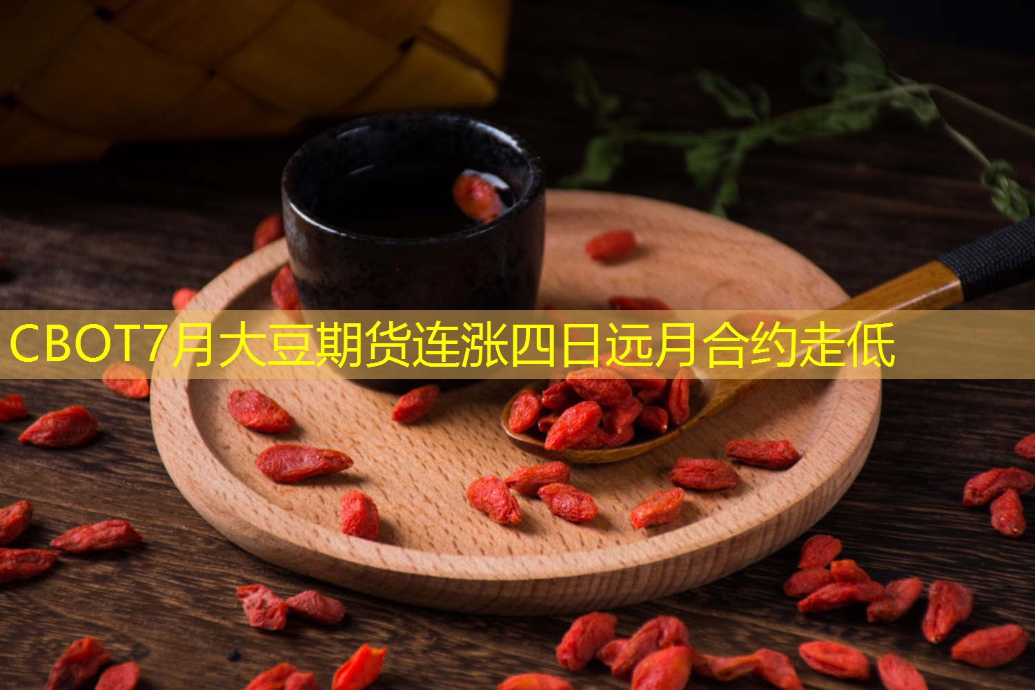 CBOT7月大豆期货连涨四日远月合约走低