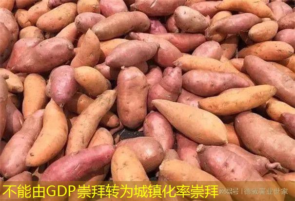 不能由GDP崇拜转为城镇化率崇拜