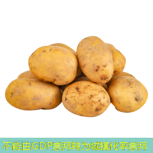 不能由GDP崇拜转为城镇化率崇拜