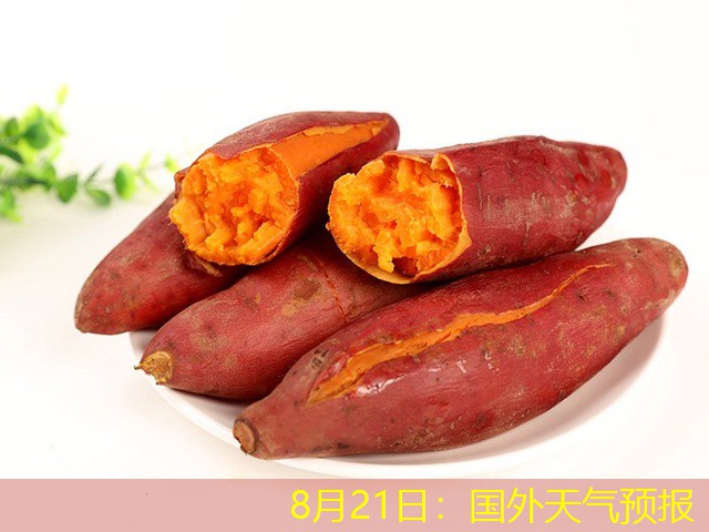 8月21日：国外天气预报