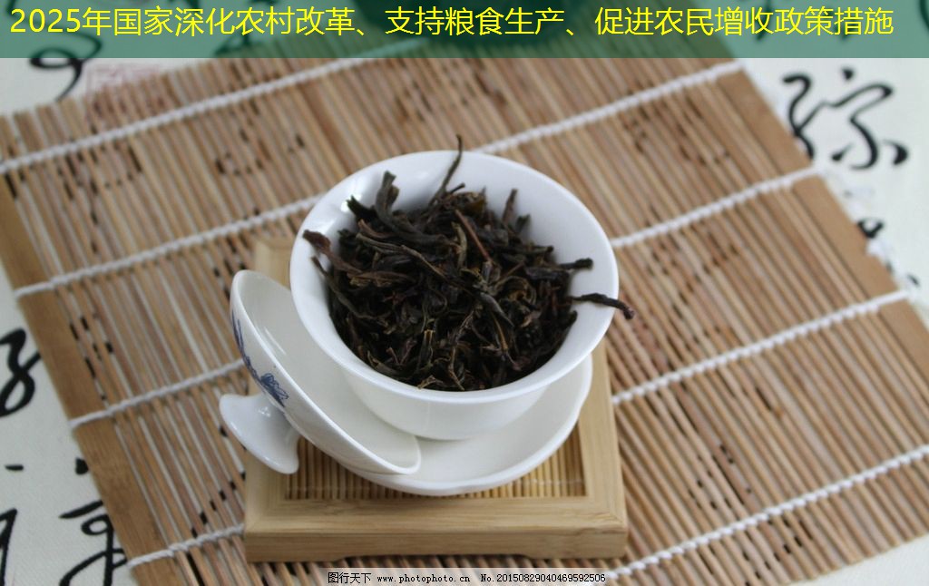 2025年国家深化农村改革、支持粮食生产、促进农民增收政策措施