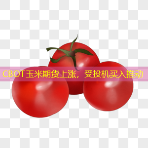 CBOT玉米期货上涨，受投机买入推动