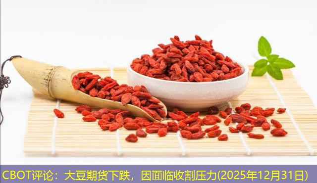CBOT评论：大豆期货下跌，因面临收割压力(2025年12月31日)
