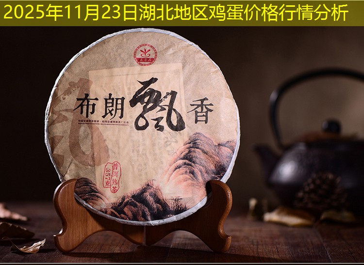 2025年11月23日湖北地区鸡蛋价格行情分析