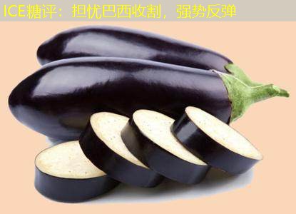 ICE糖评：担忧巴西收割，强势反弹