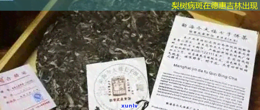 梨树病斑在德惠吉林出现