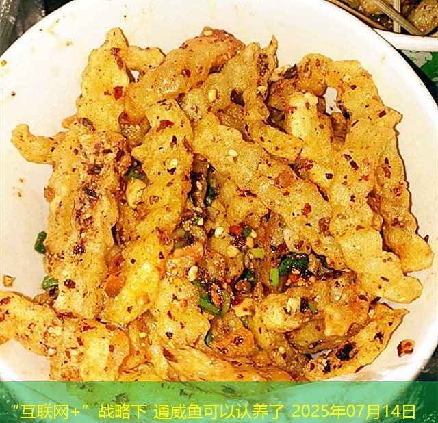 “互联网+”战略下 通威鱼可以认养了 2025年07月14日