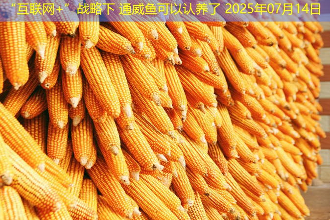 “互联网+”战略下 通威鱼可以认养了 2025年07月14日