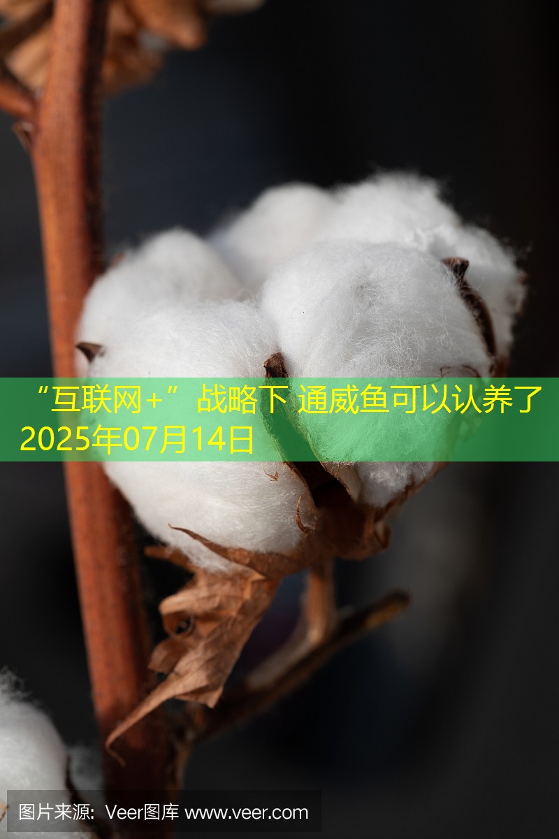 “互联网+”战略下 通威鱼可以认养了 2025年07月14日