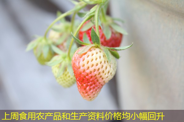 上周食用农产品和生产资料价格均小幅回升