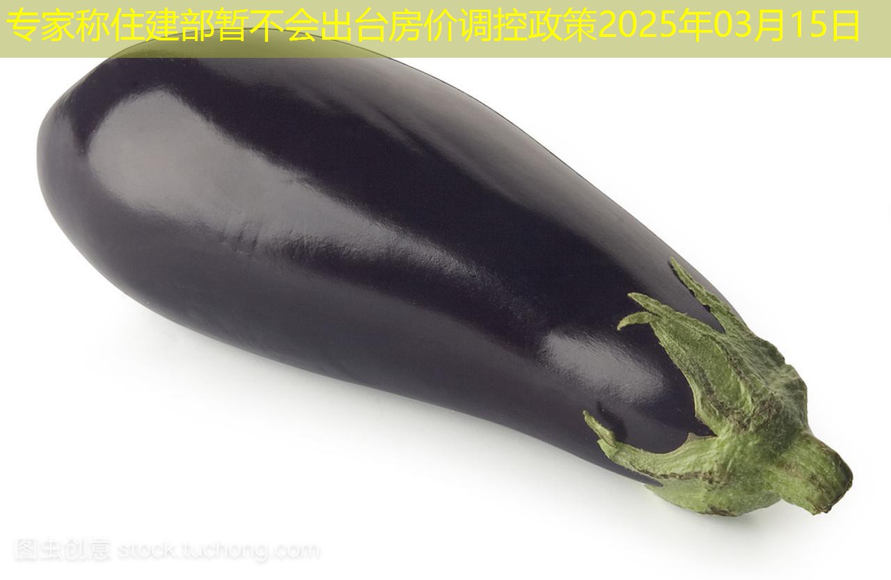 专家称住建部暂不会出台房价调控政策2025年03月15日