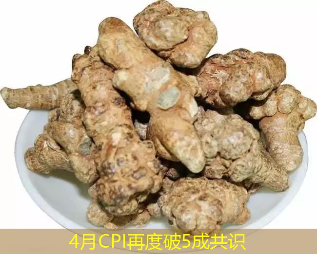 4月CPI再度破5成共识