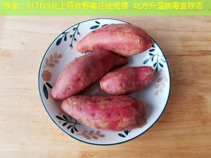 专家：H7N9北上符合野禽迁徙规律 北方升温病毒宜存活