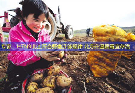 专家：H7N9北上符合野禽迁徙规律 北方升温病毒宜存活