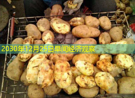 2030年12月25日早间经济观察