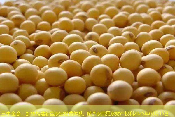 三中全会：加快构建新型农业经营体系，赋予农民更多财产权利2025年03月15日