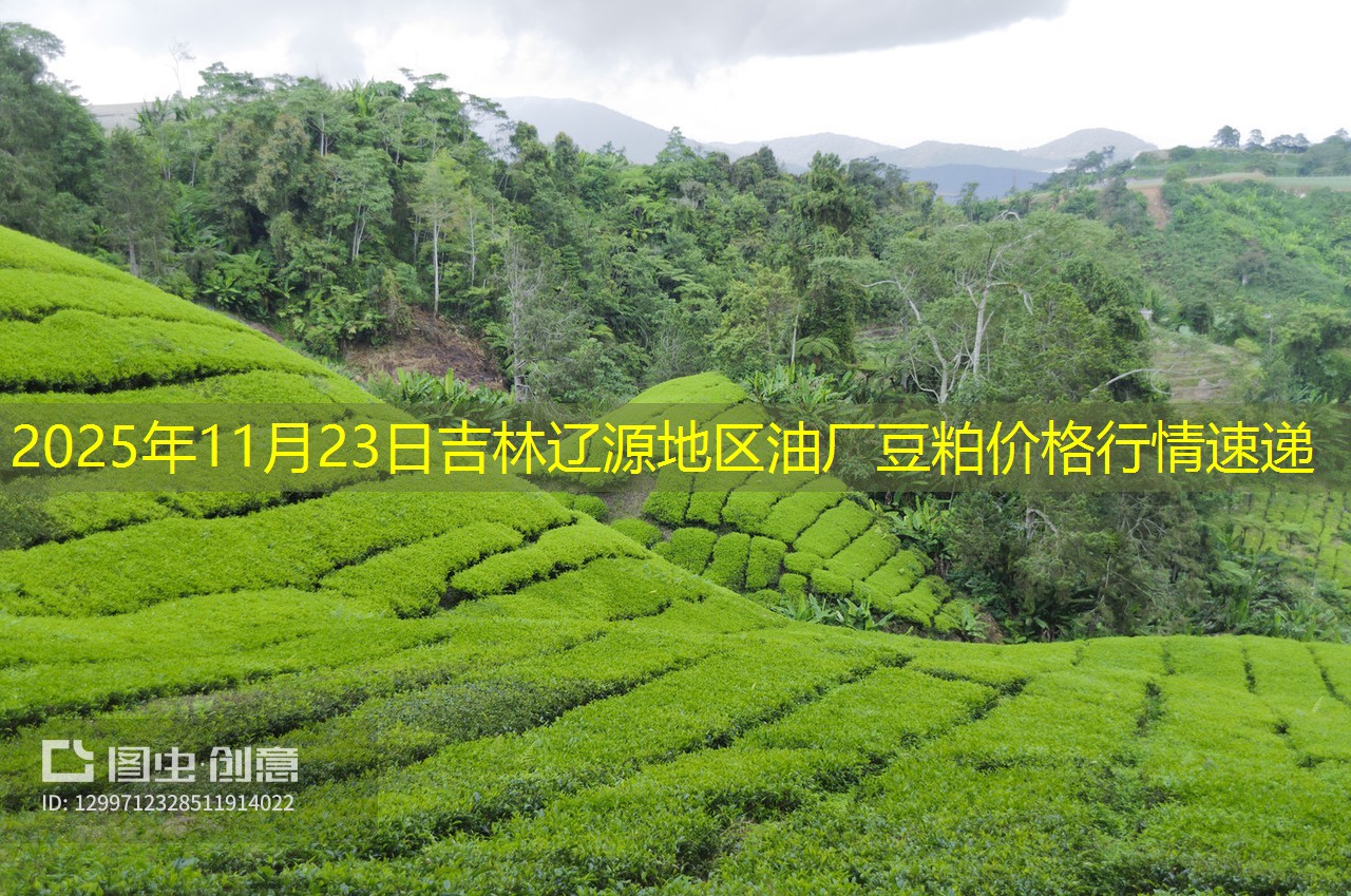 2025年11月23日吉林辽源地区油厂豆粕价格行情速递