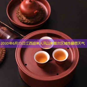 2030年6月15日江西迎来入汛以来首次区域性暴雨天气