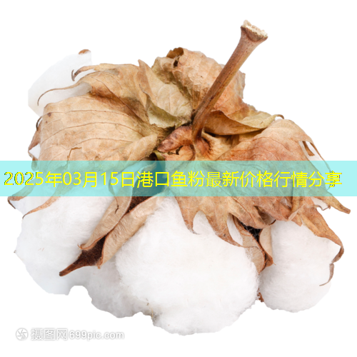 2025年03月15日港口鱼粉最新价格行情分享