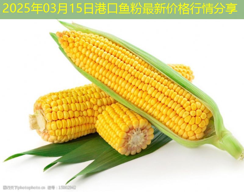 2025年03月15日港口鱼粉最新价格行情分享