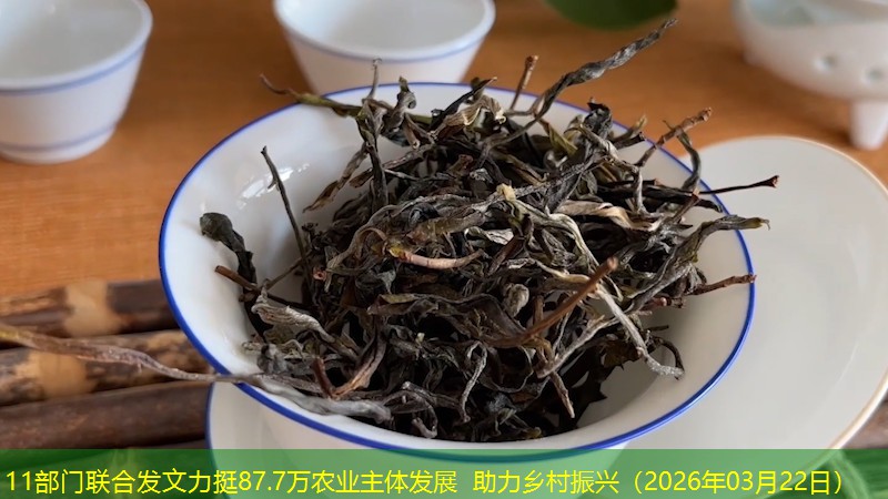 11部门联合发文力挺87.7万农业主体发展 助力乡村振兴（2026年03月22日）