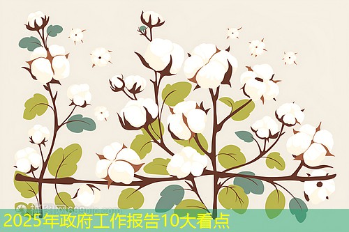 2025年政府工作报告10大看点