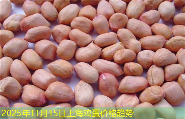 2025年11月15日上海鸡蛋价格趋势
