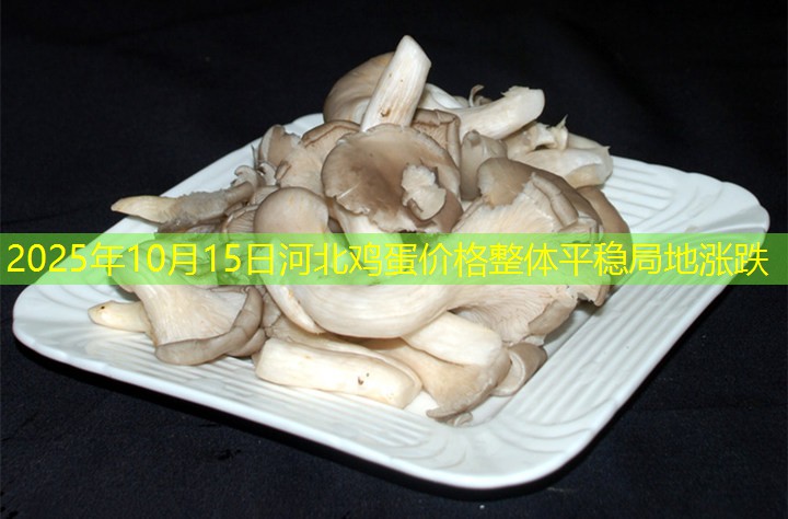 2025年10月15日河北鸡蛋价格整体平稳局地涨跌