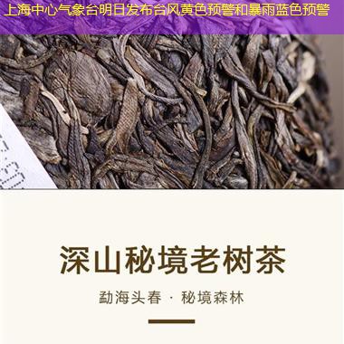 上海中心气象台明日发布台风黄色预警和暴雨蓝色预警