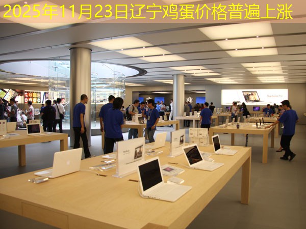 2025年11月23日辽宁鸡蛋价格普遍上涨