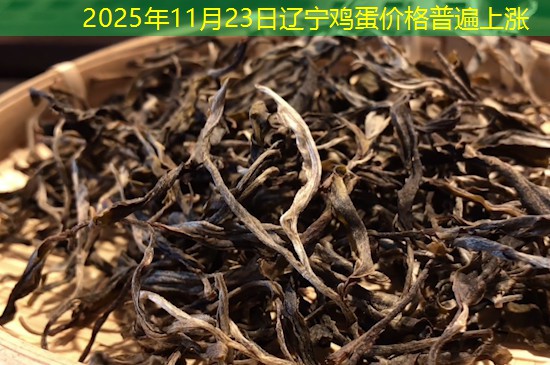 2025年11月23日辽宁鸡蛋价格普遍上涨