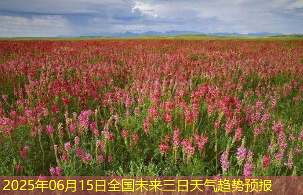 2025年06月15日全国未来三日天气趋势预报