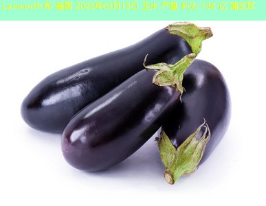 Lanworth 称 美国 2025年03月15日 玉米 产量 料为 138 亿 蒲式耳