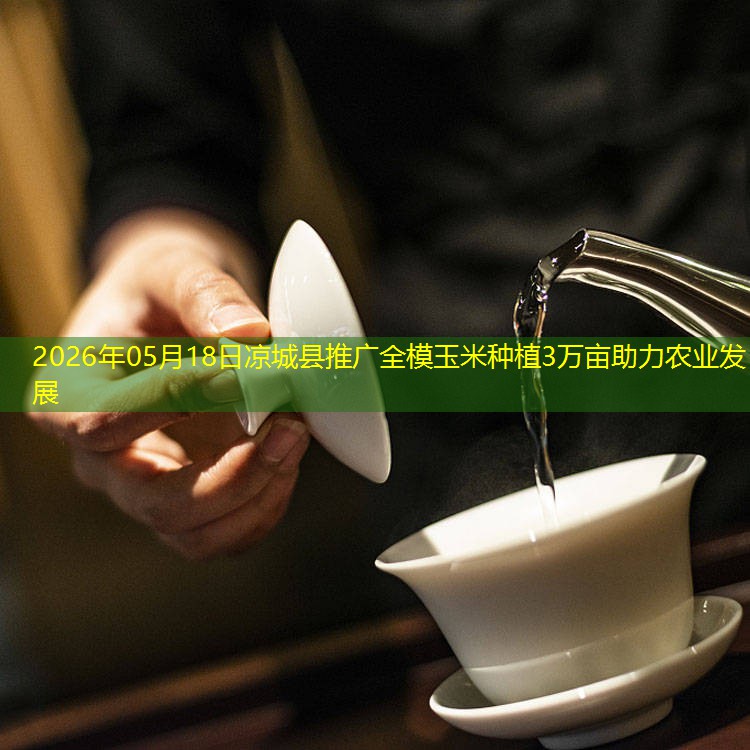 2026年05月18日凉城县推广全模玉米种植3万亩助力农业发展