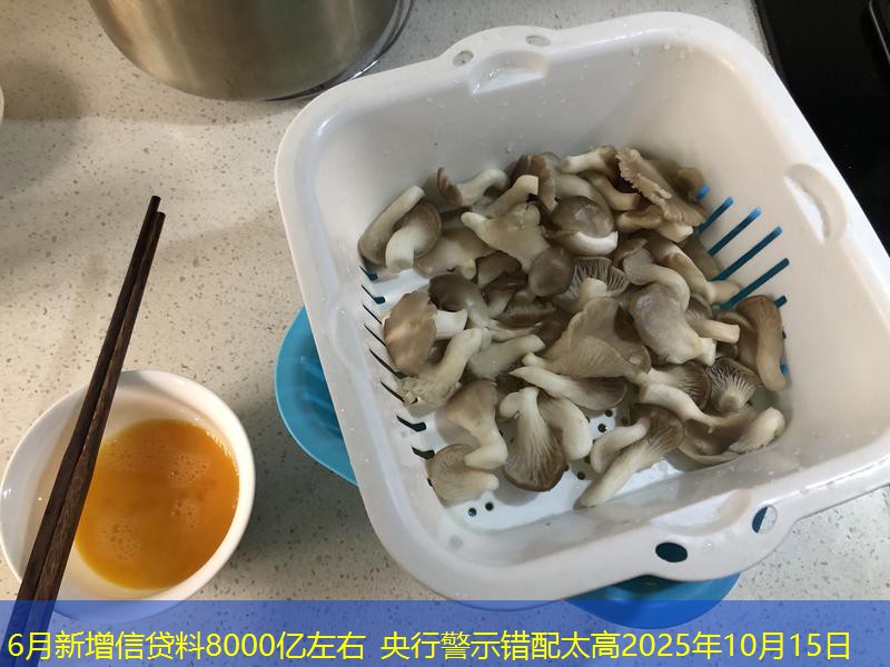 6月新增信贷料8000亿左右 央行警示错配太高2025年10月15日