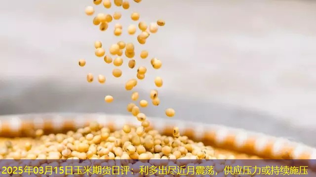 2025年03月15日玉米期货日评：利多出尽近月震荡，供应压力或持续施压