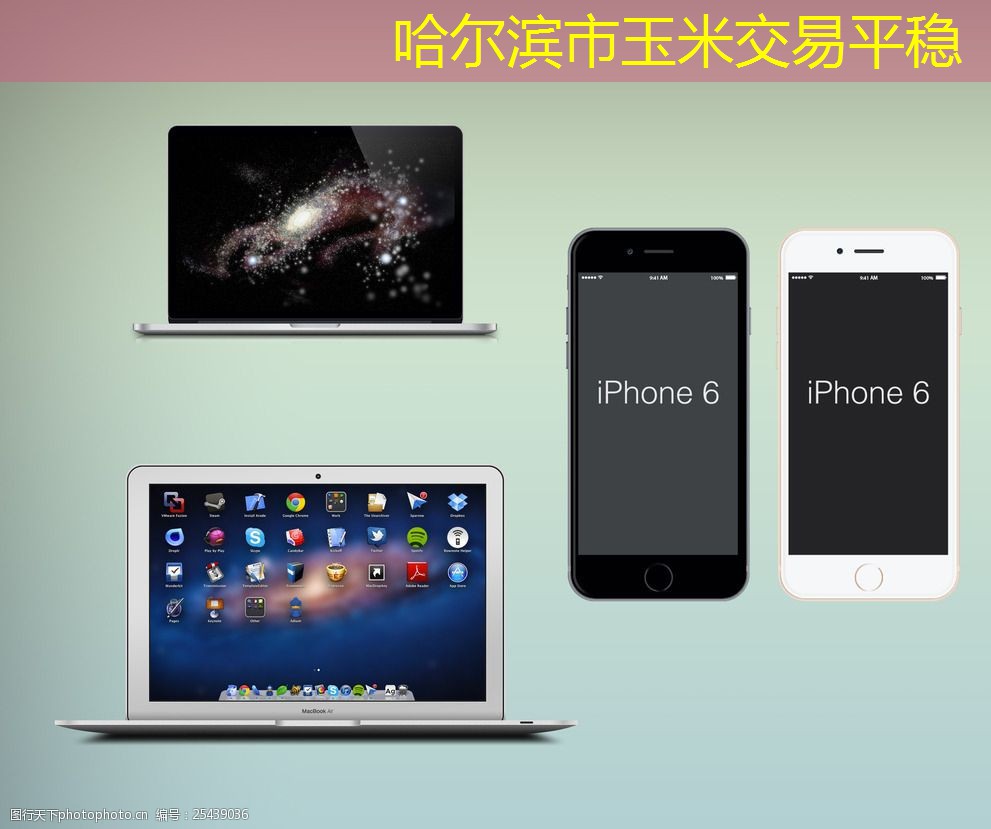 哈尔滨市玉米交易平稳