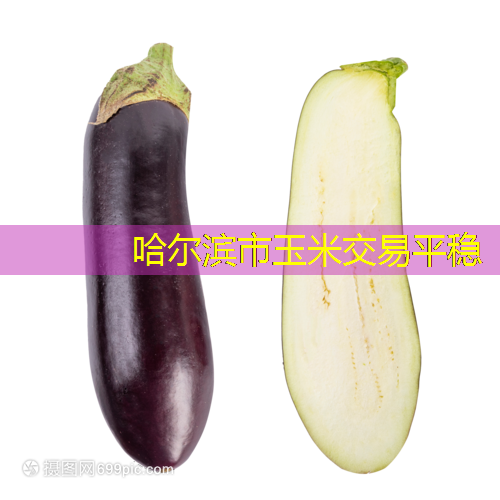 哈尔滨市玉米交易平稳