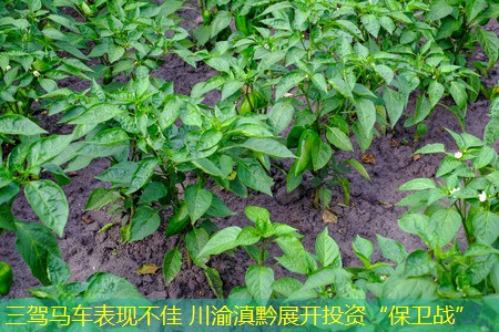 三驾马车表现不佳 川渝滇黔展开投资“保卫战”