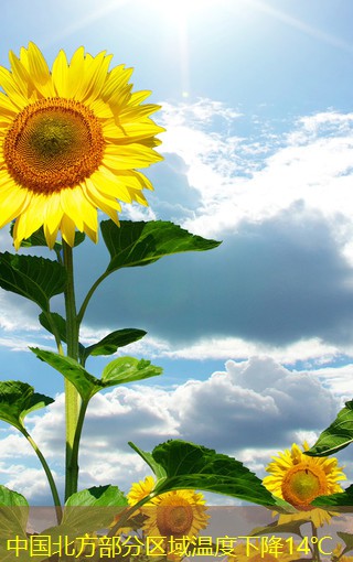 中国北方部分区域温度下降14℃