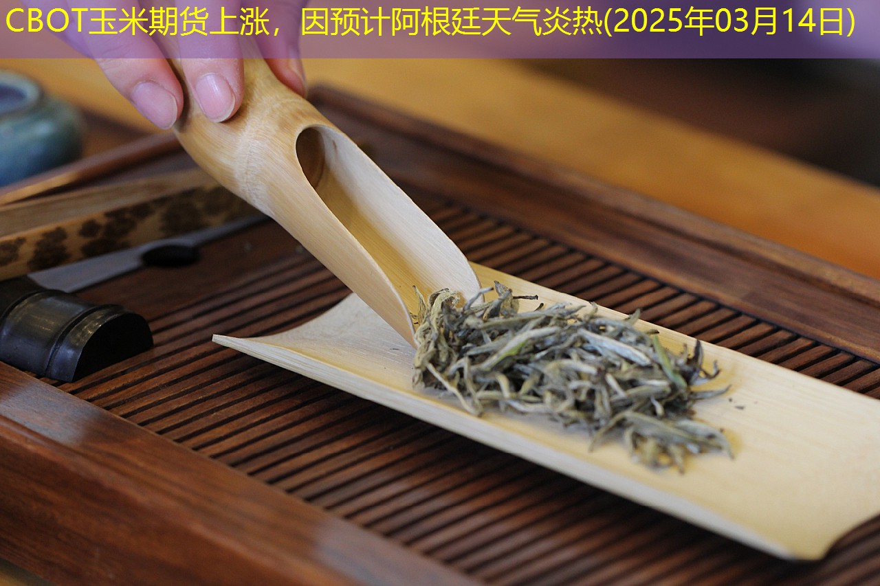 CBOT玉米期货上涨，因预计阿根廷天气炎热(2025年03月14日)