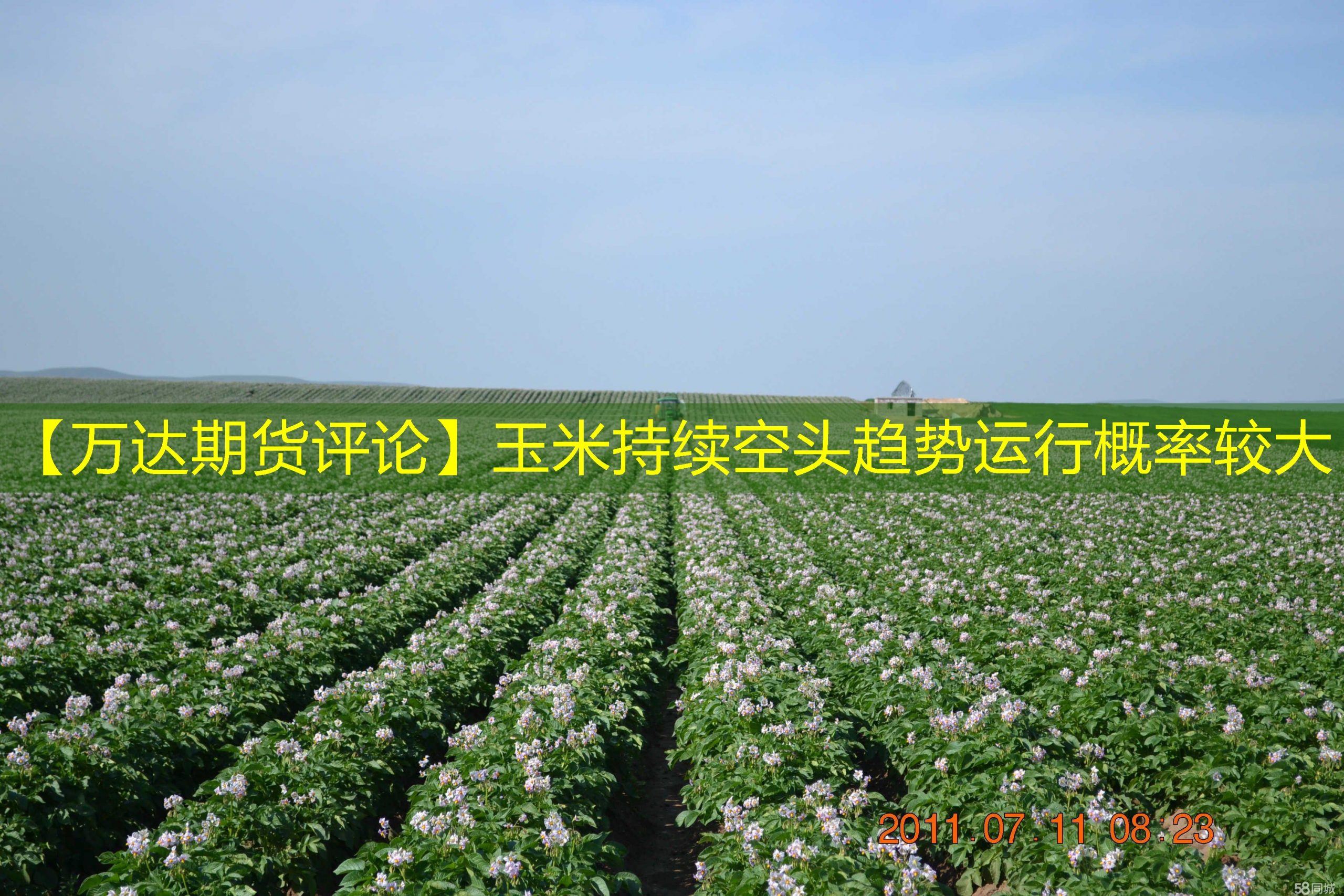 【万达期货评论】玉米持续空头趋势运行概率较大