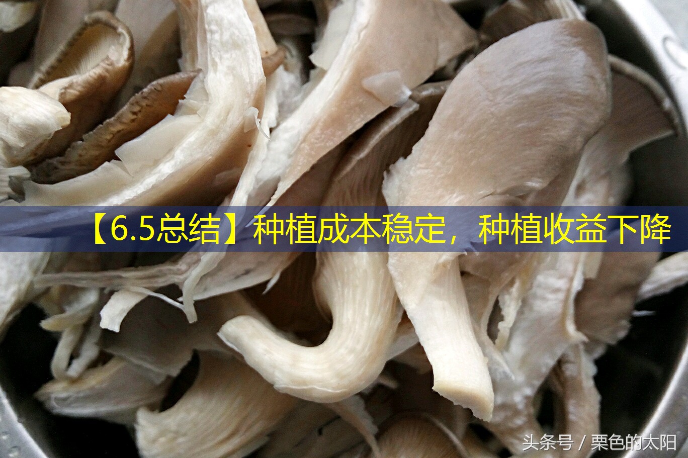 【6.5总结】种植成本稳定，种植收益下降