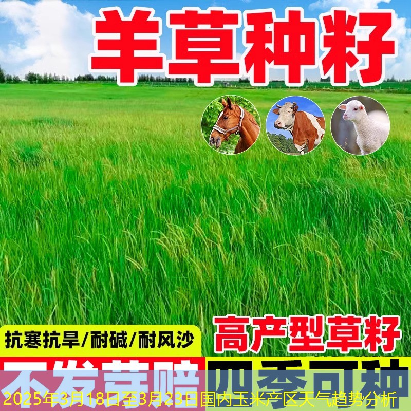 2025年3月18日至3月23日国内玉米产区天气趋势分析