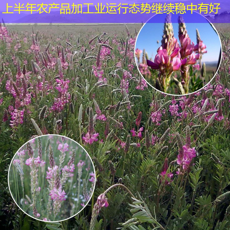 上半年农产品加工业运行态势继续稳中有好