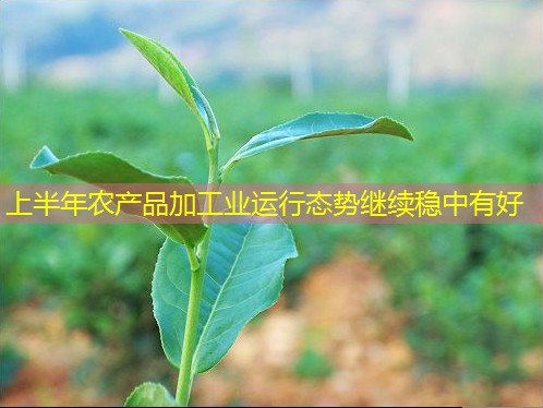 上半年农产品加工业运行态势继续稳中有好