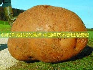 6月CPI或达6%高点 中国经济不会出现滞胀