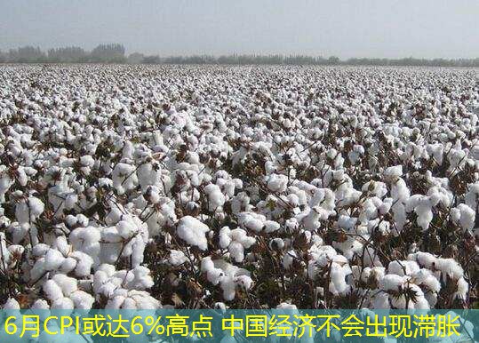 6月CPI或达6%高点 中国经济不会出现滞胀