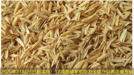 2025年11月23日起实施：17项重磅举措助力生猪产业高质量发展